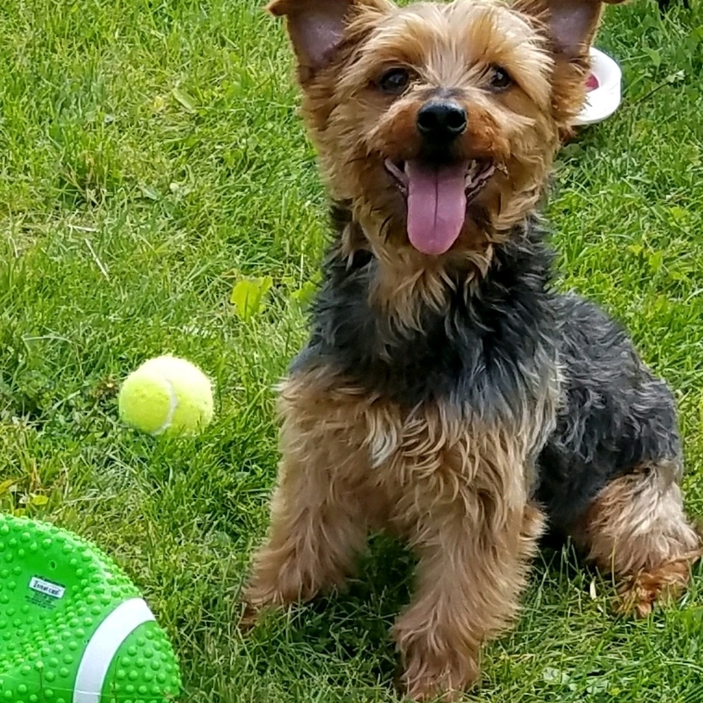 Meet your Posher, Lesley